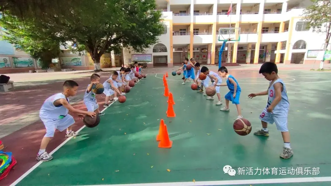 哪里能找到分卫的技术分析视频_0